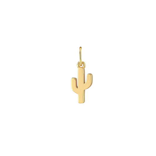 Cactus Charm