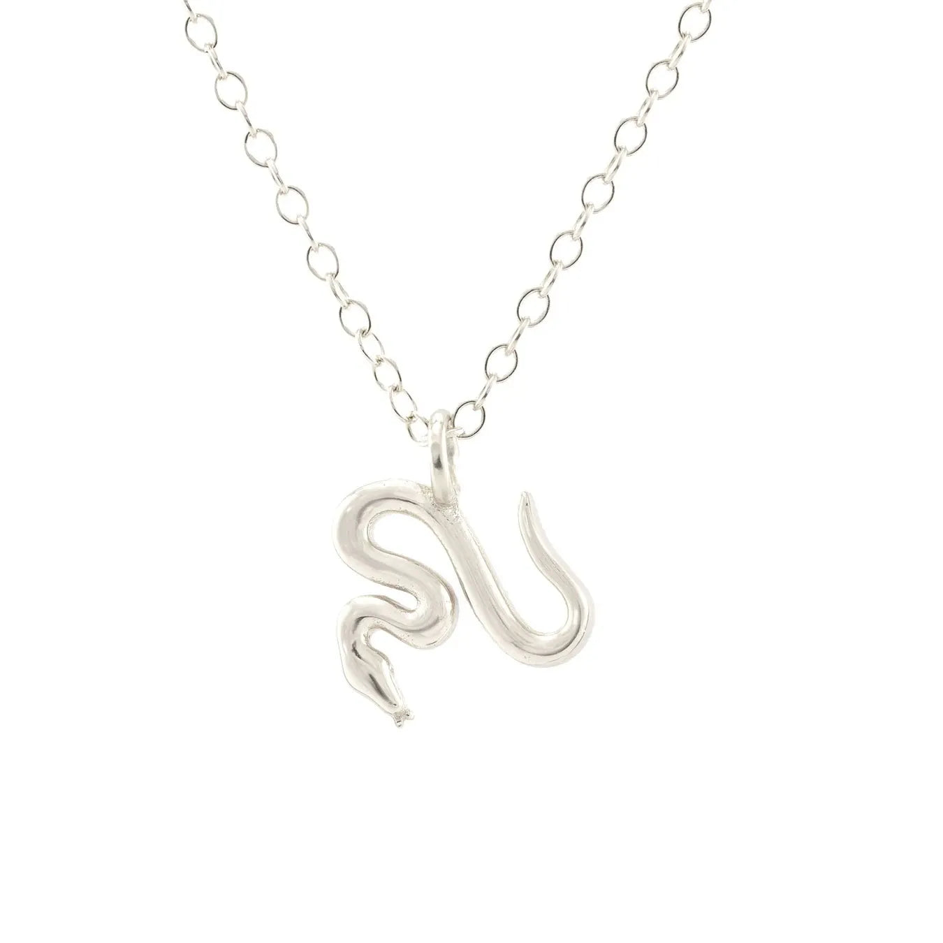 Snake Charm Necklace