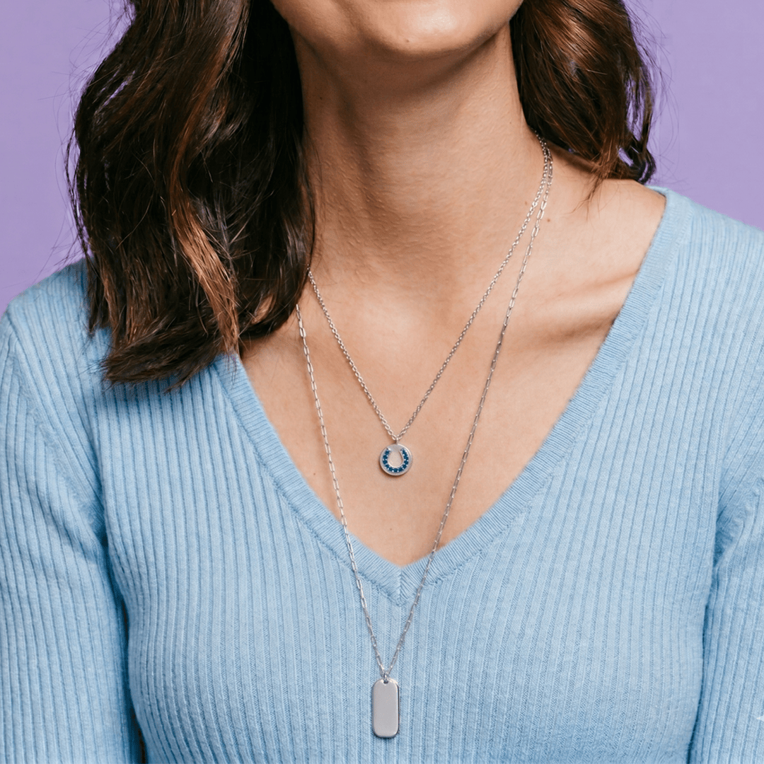 Horseshoe Disc Necklace