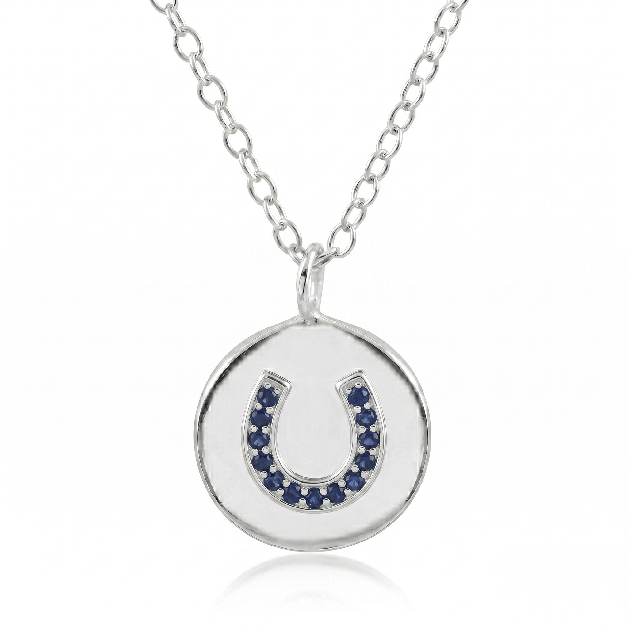 Horseshoe Disc Necklace